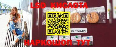 амф Новодвинск