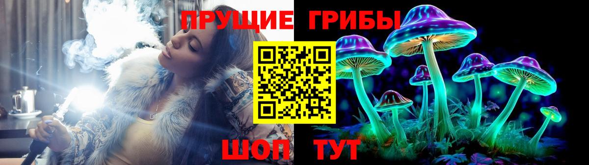 Галлюциногенные грибы прущие грибы  Вход с VPN  Брянск 